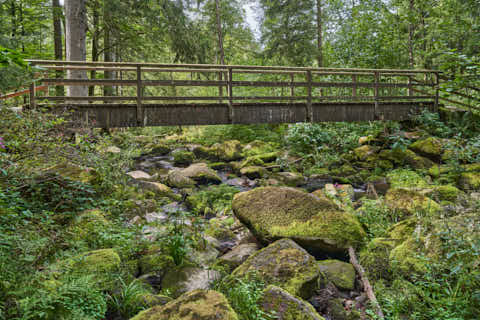 Gemeinde Waldkirchen Landkreis Freyung-Grafenau Saußbachklamm (Dirschl Johann) Deutschland FRG